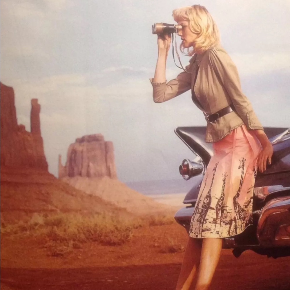 Anthropologie Odille Pink Ombré Grassland Giraffe Skirt 10 - Picture 1 of 8